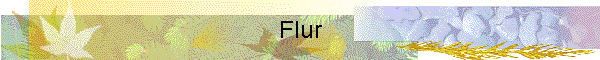 Flur