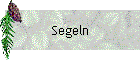 Segeln