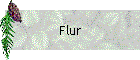 Flur
